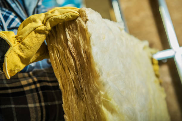 Best Wall Insulation Contractor  in Duboistown, PA