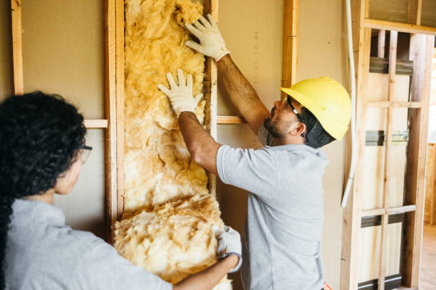 Best Blown-in Insulation  in Duboistown, PA