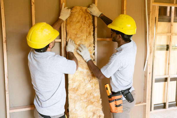 Best Fiberglass Insulation  in Duboistown, PA