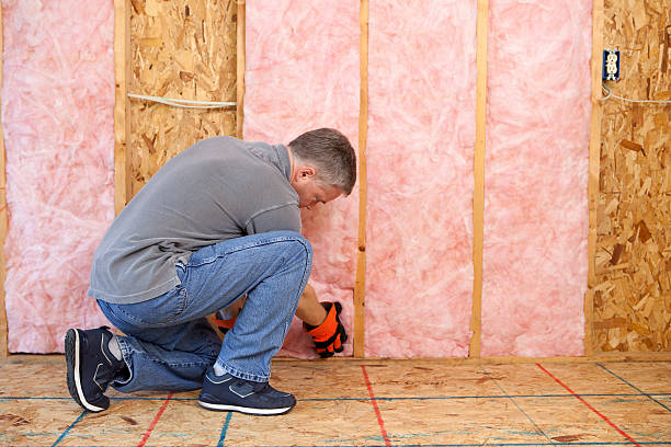 Best Best Insulation Companies  in Duboistown, PA