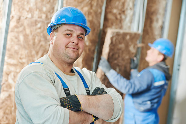 Best Home Insulation Services  in Duboistown, PA
