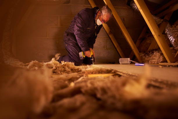 Best Insulation for New Construction  in Duboistown, PA
