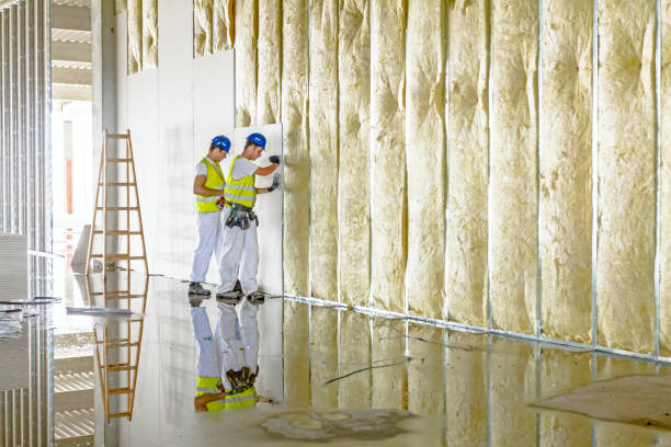 Best Energy-efficient Insulation  in Duboistown, PA